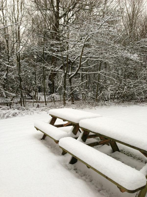 Winterse Plaatjes....echt zoooo mooi !