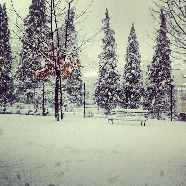 GiuliaGaddi's tweet photo. Snow <3 http://t.co/idCJ7urT