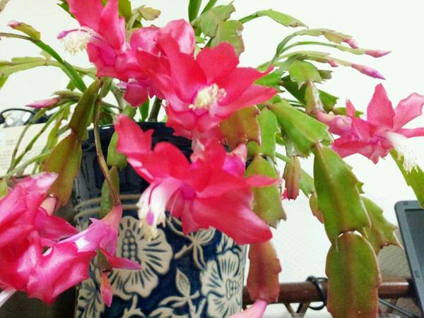 hbk0108's tweet photo. 국민행복 쌀나눔운동 http://t.co/Va1NnGqX 밥퍼행사 자원봉사모집^^ http://t.co/n0i7tizQ 참여하겟습니다.^^