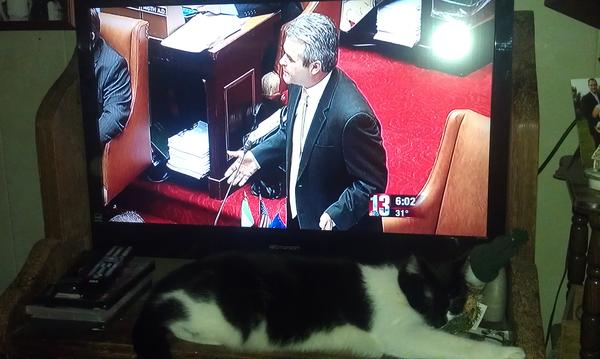 Brenda-Lee Rafferty (@Jamblee) | Twitter