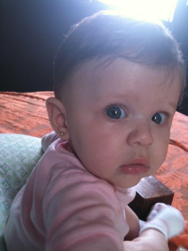 denisperazaforsland tweet media