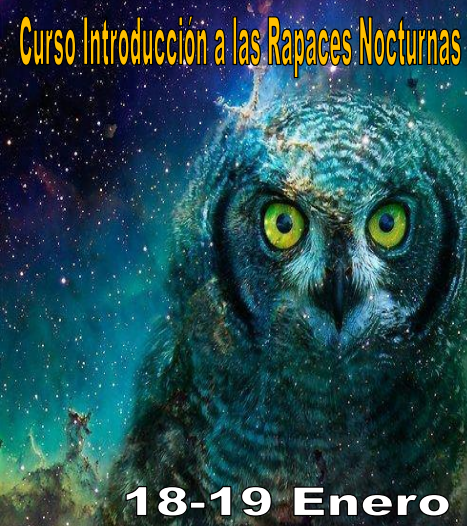 AucaSF's tweet photo. Curso de introducción a las rapaces nocturnas en Santa Fe (#Granada) el 18 y 19 de enero. +Info: https://t.co/OIYCqAN5 http://t.co/eMMAhlgF
