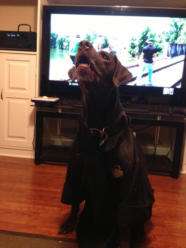 ryanmac516's tweet image. Chef Duke