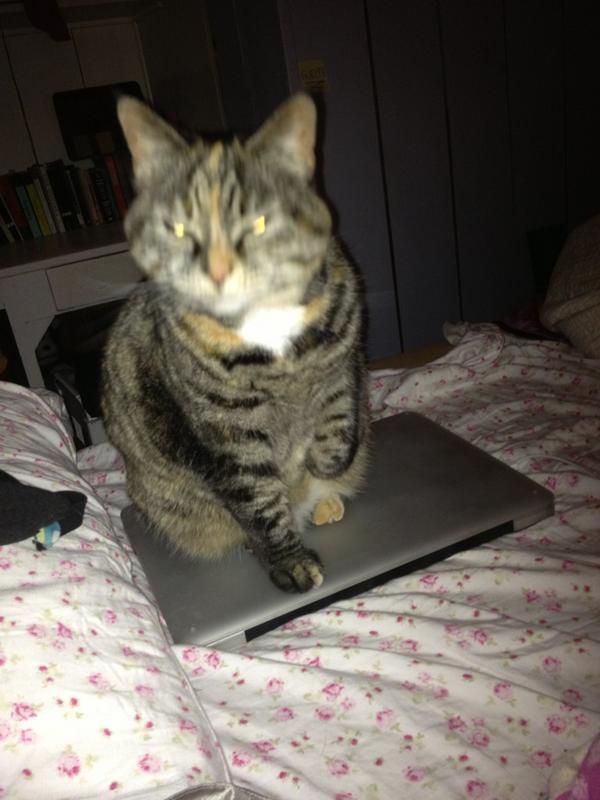 emilymacD3's tweet photo. So much for studying ! Oh well http://t.co/fZRwCCtP