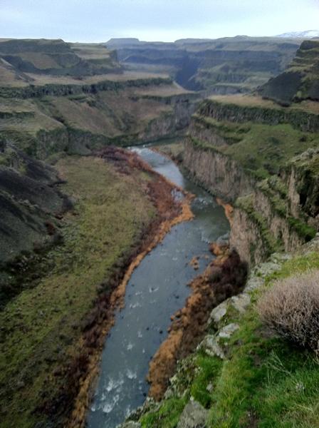 jpguider's tweet photo. Palouse River, Wa http://t.co/yuWhhqHj