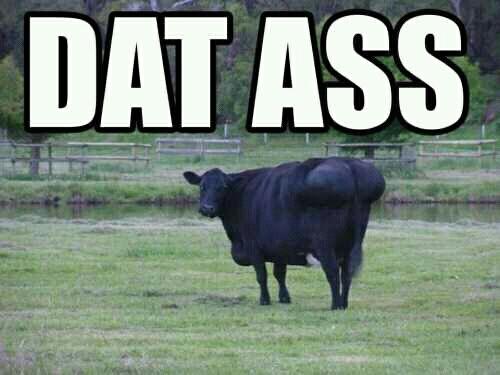 themeatfaction's tweet photo. @BrandonSaidThat this one? Lol http://t.co/FlcWBdQv
