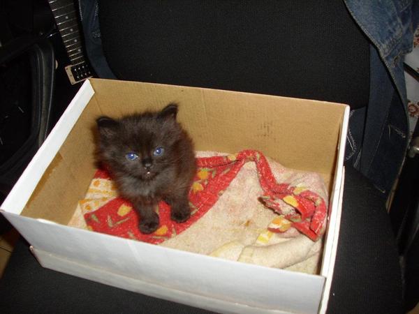 // I need a hug, I miss him so fucking much, he should be right here scratching my arms //