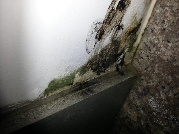 Spillingbeans1 tweet picture
