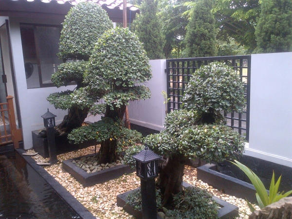 Yusril Ihza Mahendra On Twitter Taman Bergaya Jepang Di