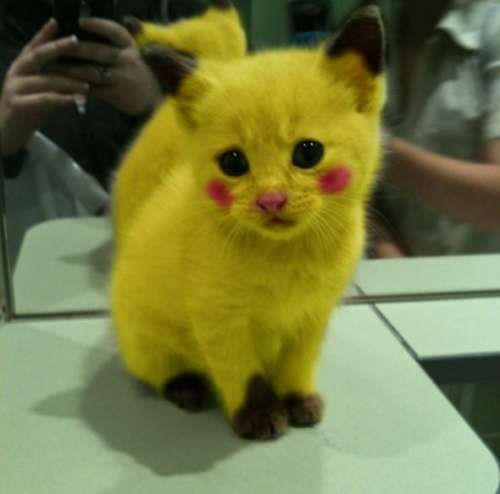 RetweetIsCutie's tweet photo. Retweet = Cute! http://t.co/lSSVMTpb