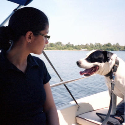 Boston_Whaler's tweet photo. Happy #WaggingWhalerWednesday! Here's Tyson on his 1988 130 Super Sport, cruising on a small lake in the Netherlands. http://t.co/M0BB1ncU