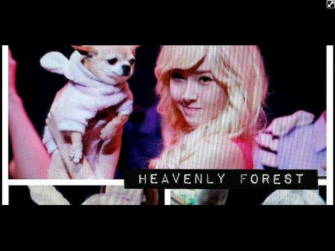 SONESNSDFans's tweet photo. [PREVIEW] 130116 Jessica at Legally Blonde v/@IndSoshi http://t.co/SNqChP0W