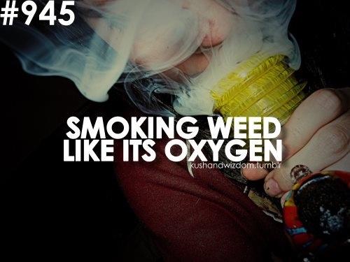 SmokeSomeBeesh's tweet photo. #stonerprobz http://t.co/xNhroUV1