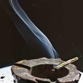 SmokeSomeBeesh's tweet photo. http://t.co/460e0X73