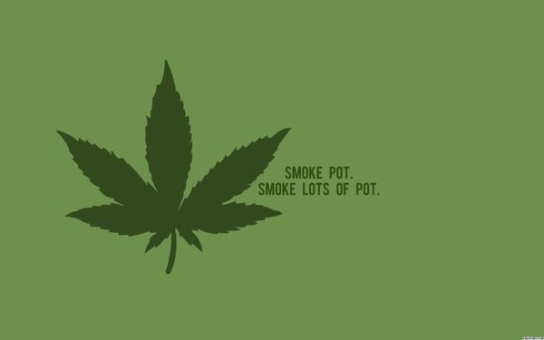 SmokeSomeBeesh's tweet photo. #nolie #stonedsociety #StayLifted #StonerFam #stonerprobz words to live by http://t.co/cd0JLZb4