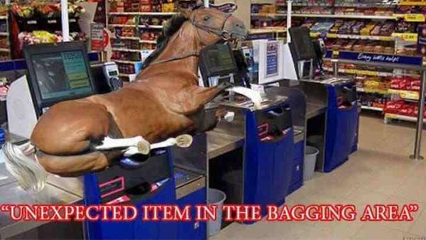 Phattphil's tweet photo. #Tesco #Horse #horseburgers http://t.co/bWytCXS6