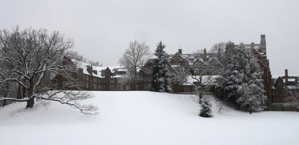 Wellesley's tweet image. Severance Hill is lonely. It's covered in fresh snow and so far no one's taken advantange to tray or sled down it!