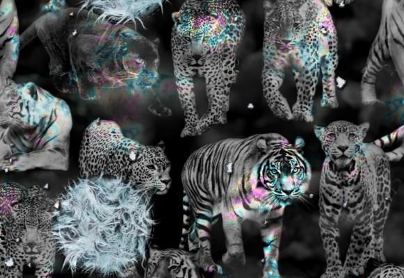 A sneakpreview of things to come.
#FurFreeFashion with limited edition scarf by @Pinar_Viola!