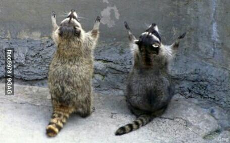FotoFunNL's tweet photo. Wanneer een proefwerk niet door gaat... #FotoFunNL http://t.co/2x9Eqsfc