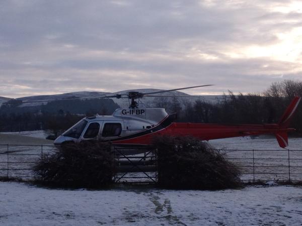 Underley Estate tweet media