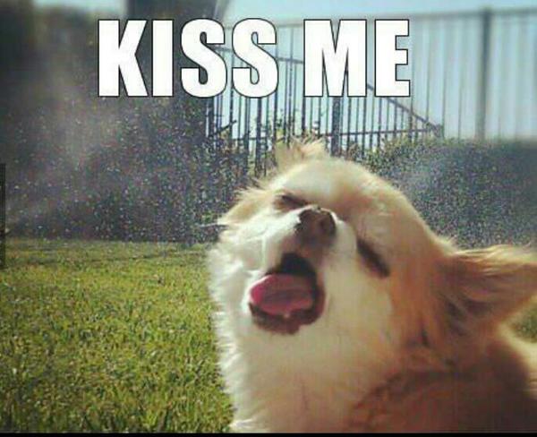 __Asmahan__'s tweet photo. Oh yeah baby !!! http://t.co/EAo3mnzQ