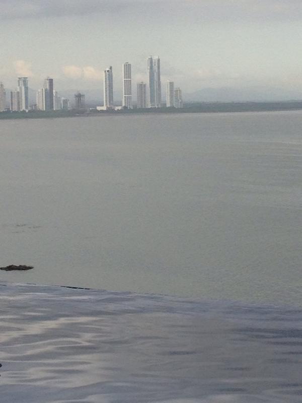 apaley_ tweet picture