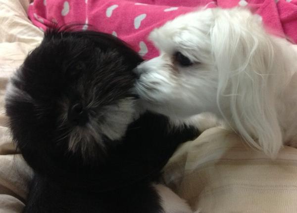 bjs577's tweet photo. ...사랑... http://t.co/hw0pSstO