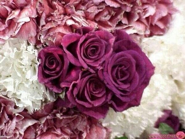 sad11 (@nouf_ns) on Twitter photo 