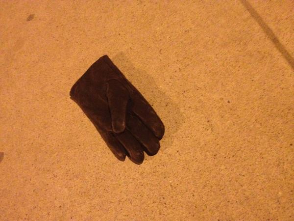 lostnfoundTO's tweet photo. Looking for my mate. #yorkucommons http://t.co/tiJc98Cs