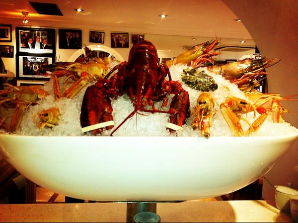 giuseppe viscomi tweet media