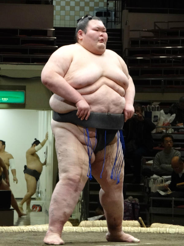 相撲 北の湖 粗布 2個セット 楽天市場】北の湖敏満関 優勝ミニ額 大相撲ミニ額 大相撲優勝額 昭和