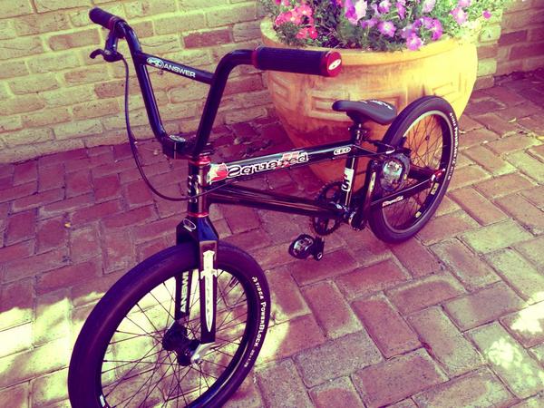 Lauren Reynolds tweet media