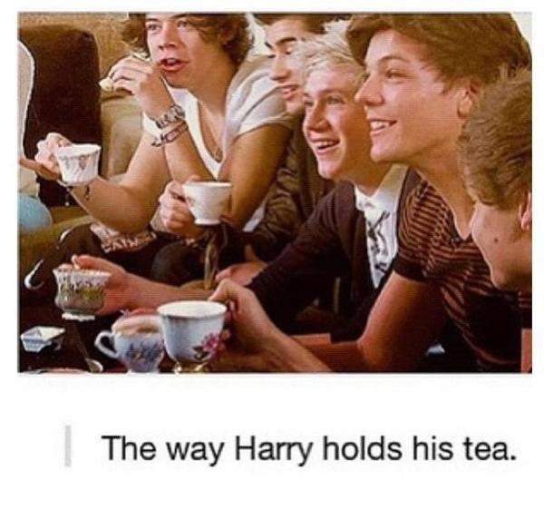 1D_Perfection1's tweet photo. Harry is simply adorable! :) http://t.co/QiWKv3ij