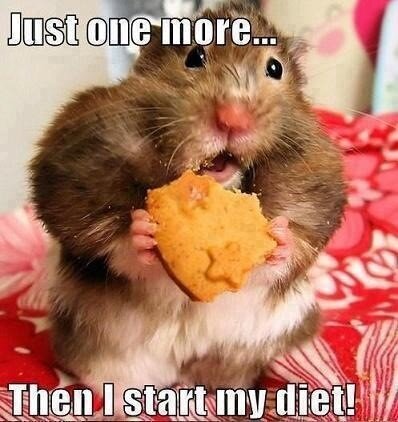 Love this #diet