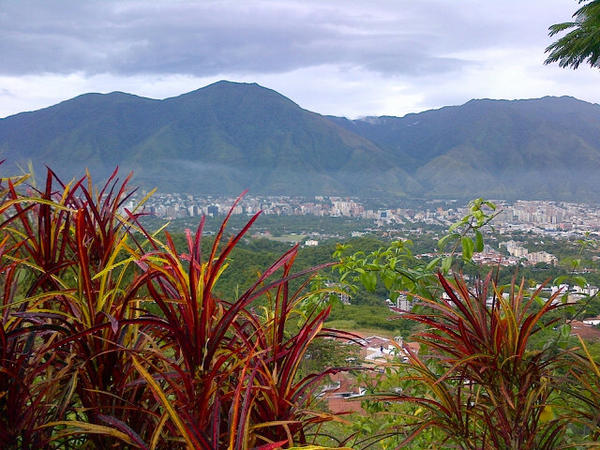 edgarlap's tweet image. 