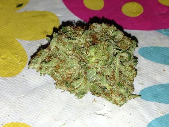 OGturtlejuice's tweet photo. #fire sfv of http://t.co/isC0lKmC