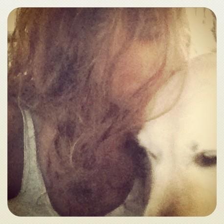 Linn Andersson tweet media