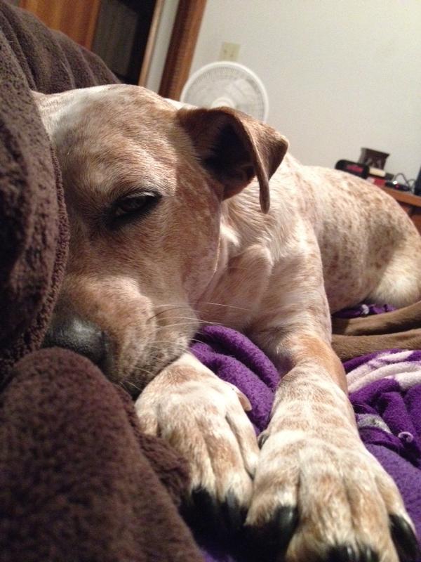 Megan Rutledge (@MmFerg) | Twitter