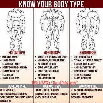 AddominaliAbs's tweet image. Dimmi che forma hai e ti dirò che allenamento sei! Check your #body type!#addominali #bodybuilding #addominalitartaruga