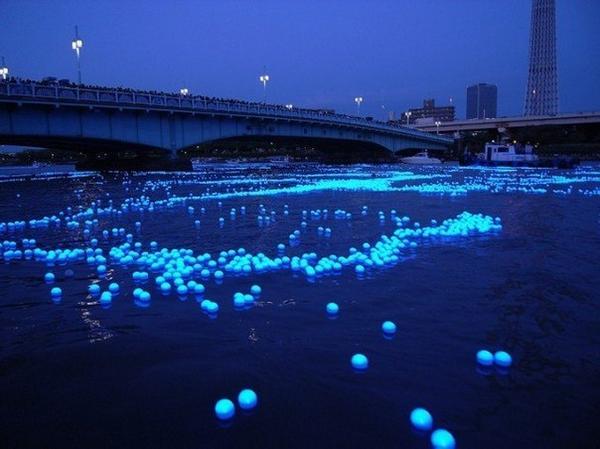 animeonlinesu's tweet photo. Фестиваль светлячков в Токио (Tokyo Hotaru Festival 2012) http://t.co/MXhDkZBm