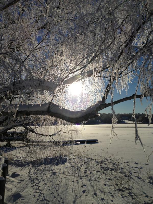 BirgitHoltskog's tweet image. Winter wonderland in Stockholm