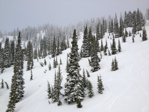 fascinating to feel the warmer heavy snow change into light windbuffed snow at 4500' #everydayscience