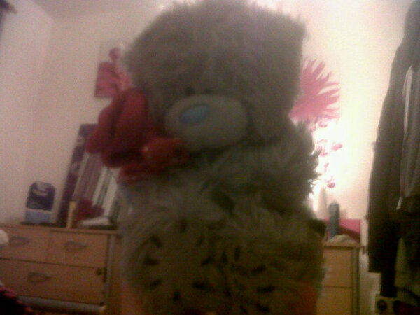 leannekatiexx's tweet photo. Finding old teddys from old boyfriends hahahaha #SetsOnFire http://t.co/0qvOiPao