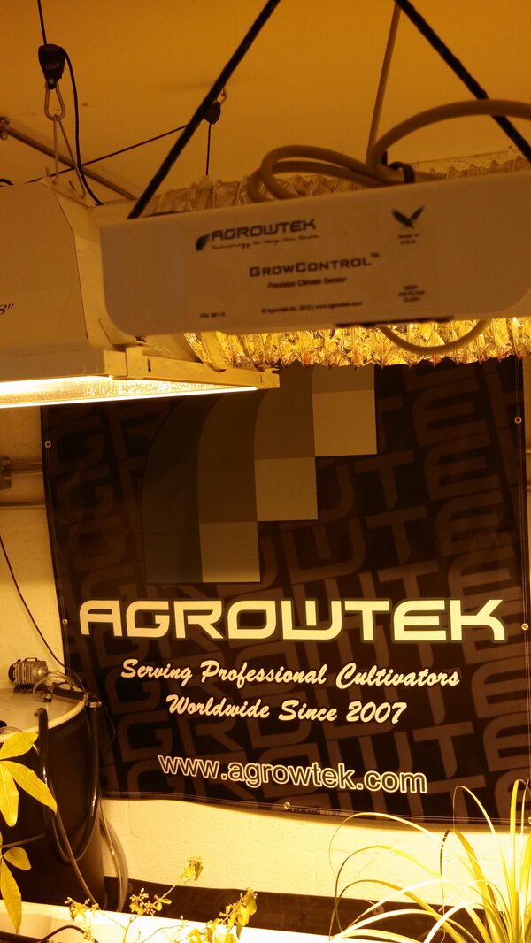 Agrowtek tweet picture