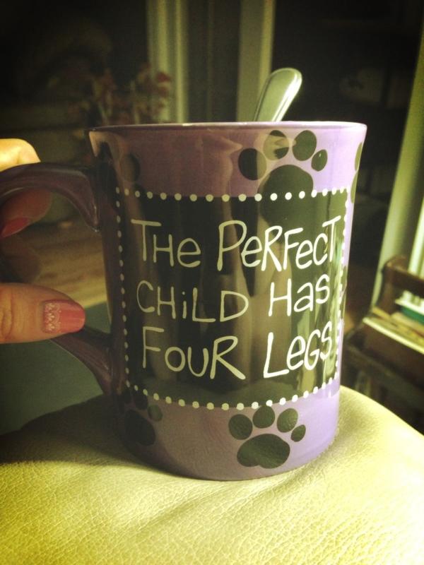 Lissa12's tweet photo. Truth! #puppylove http://t.co/h9kQKNYx