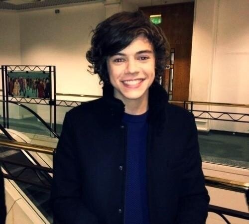 1Dreportdaily tweet picture