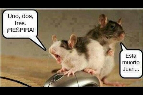 Elena Larriba tweet media