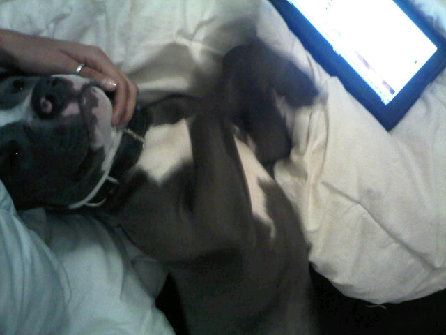 My sweet little boy cuddling with me this morning.. http://t.co/weX1SsV8<a href="/tag/blink182"class="tags"><span>#blink182</span></a>