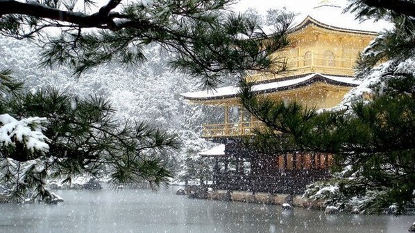 VeryCool2013 tweet picture