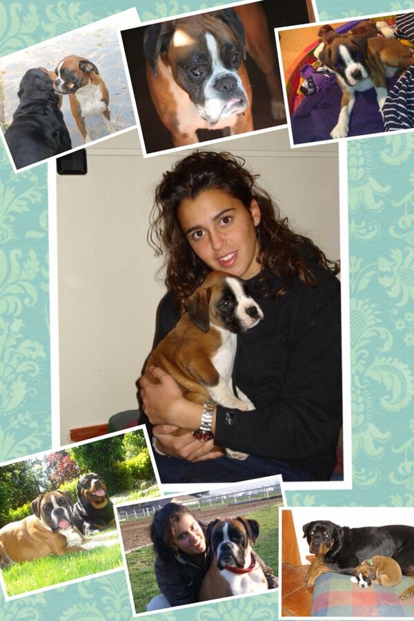 Miriam Marin tweet media